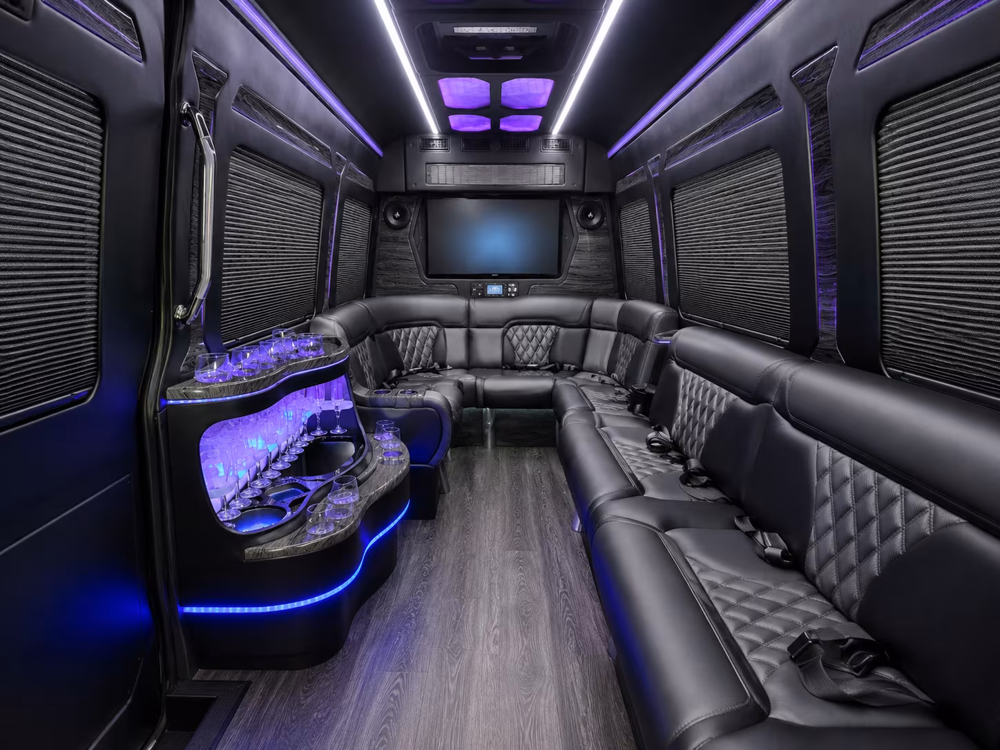 olathe 28 passenger party bus interior
